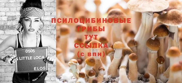 гидропоника Аркадак