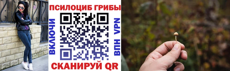 Псилоцибиновые грибы Psilocybine cubensis  где найти наркотики  Валдай 